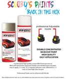 renault clio naturel silver beige d12 aerosol spray paint and lacquer 2003 2006