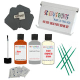 Rover 2500 Blaze Ema Touch Up Paintstone chip protection