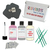 Austin Maestro Rose Pink Dme Touch Up Paintstone chip protection