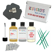 Austin Marina Tumeric Yellow Fcb Touch Up Paintstone chip protection