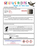 Paint For Smart Smart Warm Grey Code Ecg Touch Up Scratch Stone Chip Repair