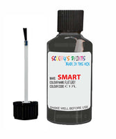 Paint For Smart Fortwo Flat Grey Code C17L Touch Up Scratch Stone Chip Repair