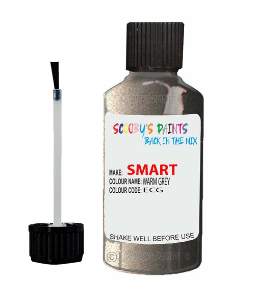 Paint For Smart Fortwo Warm Grey Code Ecg Touch Up Scratch Stone Chip Repair