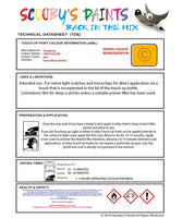 Ssangyong-Data-Sheet-Touch-Up-Paint-CHICK-YELLOW