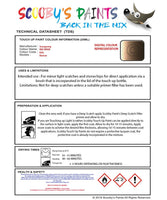 Ssangyong-Data-Sheet-Touch-Up-Paint-REX-BEIGE