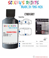 ssangyong actyon cyber grey abs Scratch score repair paint