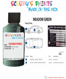 ssangyong korando meadow green mg Scratch score repair paint