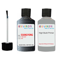 ssangyong kyron cyber grey abs touch up paint