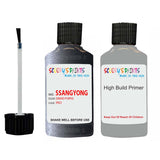 ssangyong rexton grand purple pad touch up paint
