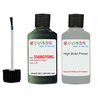 ssangyong chairman magestic green gaf touch up paint