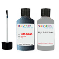 ssangyong istana metro blue bag touch up paint