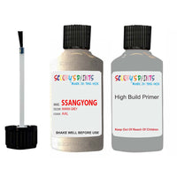 ssangyong istana warm grey aal touch up paint