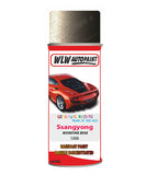Aerosol Spray Paint For Ssangyong Musso Moonstone Beige Code Sbb