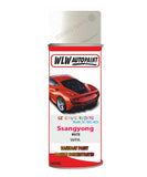 Aerosol Spray Paint For Ssangyong Chairman White Code Wpa