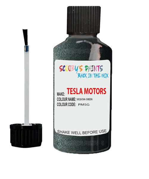 Paint For Tesla Model S Sequoia Green Code Pmsg Touch Up Scratch Stone Chip Repair