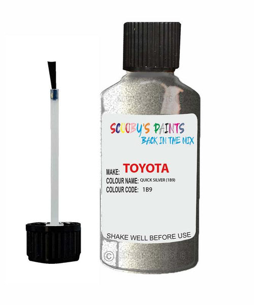 toyota rav4 quick silver code 1b9 touch up paint 1998 2002 Scratch Stone Chip Repair 