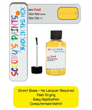 Ford Ecosport Bright Yellow S paint where to find my paint code