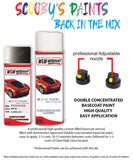 toyota corolla grey 1e3 aerosol spray paint and lacquer 2001 2014