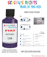 Paint For Fiat/Lancia Ducato Van Violetto Adrexo Code 125B Car Touch Up Paint