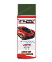 Aerosol Spray Paint For Volvo 200 Series Med Green Colour Code 123-1