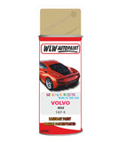 Aerosol Spray Paint For Volvo Other Models Beige Colour Code 167-5
