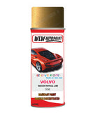 Aerosol Spray Paint For Volvo Other Models Tropical Lime Colour Code 336