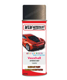 spray paint aerosol basecoat chip repair panel body shop dent refinish vauxhall insignia asteroid grey 