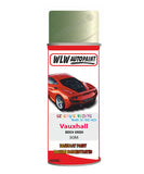 spray paint aerosol basecoat chip repair panel body shop dent refinish vauxhall corsa beech green 