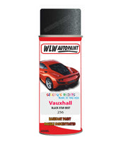 spray paint aerosol basecoat chip repair panel body shop dent refinish vauxhall kadett black star mist 