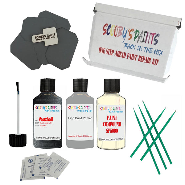 Paint For VAUXHALL BLACK STAR MIST Code: 256 Paint Detailing Scratch Repair Kit