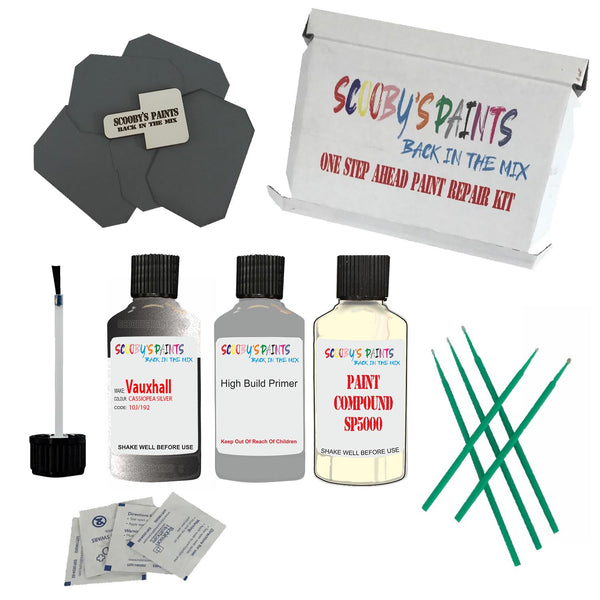 Paint For VAUXHALL CASSIOPEA SILVER Code: 10J Paint Detailing Scratch Repair Kit