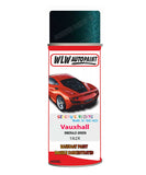 spray paint aerosol basecoat chip repair panel body shop dent refinish vauxhall cabrio convertible emerald green 