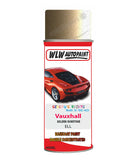 spray paint aerosol basecoat chip repair panel body shop dent refinish vauxhall grandland x golden sunstone 
