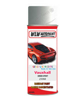 spray paint aerosol basecoat chip repair panel body shop dent refinish vauxhall corsa green spirit 