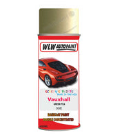 spray paint aerosol basecoat chip repair panel body shop dent refinish vauxhall tigra green tea 