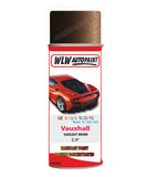 spray paint aerosol basecoat chip repair panel body shop dent refinish vauxhall combo hazelnut brown 