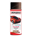 spray paint aerosol basecoat chip repair panel body shop dent refinish vauxhall agila mokka brown 
