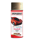 spray paint aerosol basecoat chip repair panel body shop dent refinish vauxhall cascada noblesse 