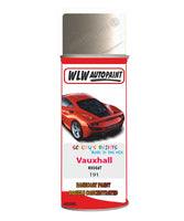 spray paint aerosol basecoat chip repair panel body shop dent refinish vauxhall cabrio convertible nougat 