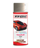 spray paint aerosol basecoat chip repair panel body shop dent refinish vauxhall cabrio convertible nougat 