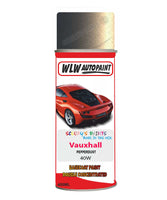 spray paint aerosol basecoat chip repair panel body shop dent refinish vauxhall combo pepperdust 
