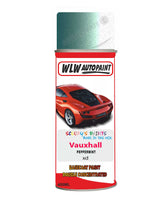 spray paint aerosol basecoat chip repair panel body shop dent refinish vauxhall corsa peppermint 