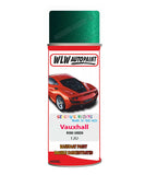 spray paint aerosol basecoat chip repair panel body shop dent refinish vauxhall tigra twin top robo green 