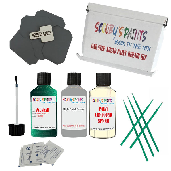 Paint For VAUXHALL ROBO GREEN Code: 1JU Paint Detailing Scratch Repair Kit