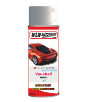 spray paint aerosol basecoat chip repair panel body shop dent refinish vauxhall astra coupe seashell 
