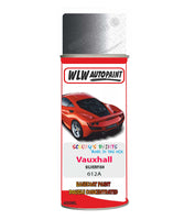 spray paint aerosol basecoat chip repair panel body shop dent refinish vauxhall combo silverfish 