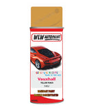 spray paint aerosol basecoat chip repair panel body shop dent refinish vauxhall corsa yellow punch 