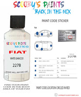 Paint For Fiat/Lancia 500 Bianco Ghiaccio Code 227B Car Touch Up Paint